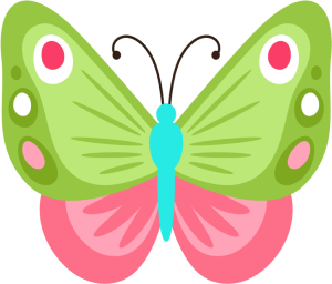 a pretty spring butterfly